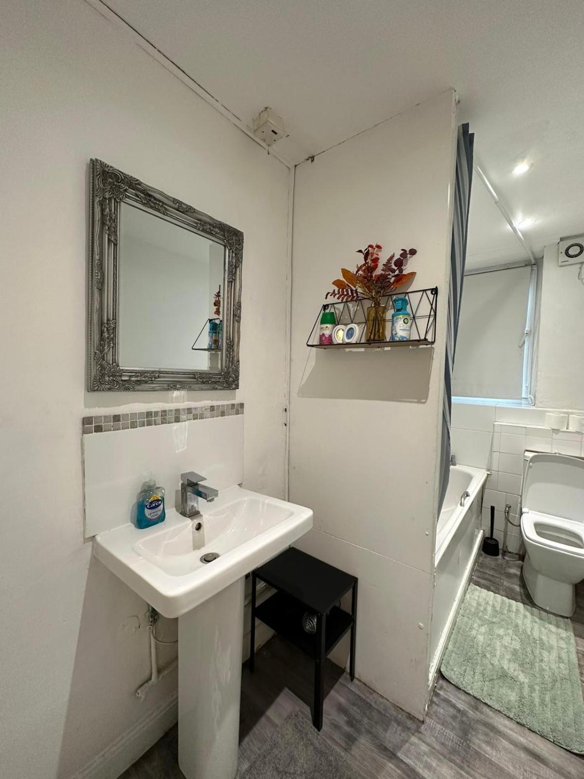 2 Bedroom Flat, 2 Minutes Walk To Bethnalgreen Station, Central Лондон Екстер'єр фото